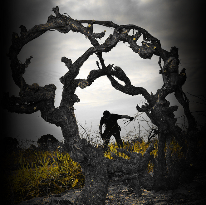 The Story of the Oldest Grenache Vineyard on Earth