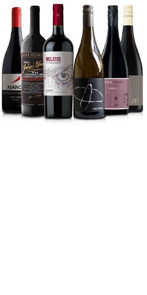 The Vinorium Introductory Case - 6x75cl