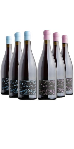 Ghost Rock Single Vineyard Pinot Noir 6 pack
