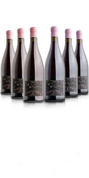 Ghost Rock La Filles and Clairdown Pinot Noir 2025 - Mixed Case